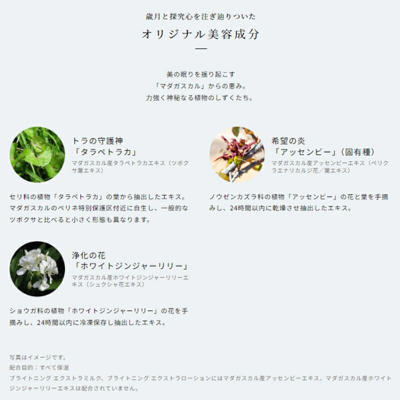 アルビオン エクシア アンベアージュ エクストラミルク 乳液 200g 濃厚 しなやか たっぷり うるおい みずみずしい ハリ 弾力 保湿 乾燥防止 だるみ対策 肌荒れ対処 角質ケア スキンケア ALBION albion