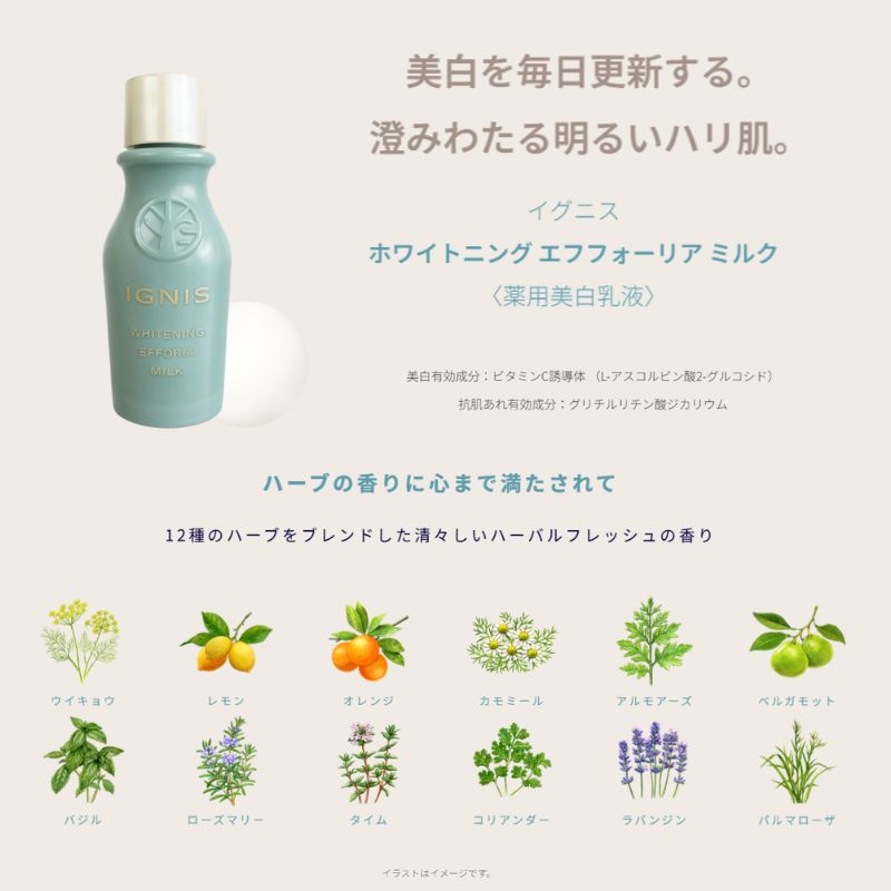 イグニス ホワイトニング エフフォーリア ミルク〈薬用美白乳液〉21g 外箱なし ミニサイズ 特製サイズ サンプル 美白有効成分 抗肌荒れ有効成分 肌をやわらげる 弾むようなハリ 肌あれを防ぐ メラニン生成抑制 シミ・ソバカス防止 伝統植物配合 IGNIS ignis