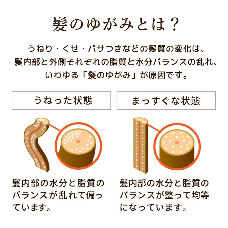 ディアボーテ オイルインシャンプー 10g*5枚 & コンディショナー 10ml*5枚 合計10枚 リッチ＆リペア お試しセット ヘアケアセット サシェサンプル トラベルサイズ プレミアムヒマワリオイル配合 良い髪へ Dear Beaute HIMAWARI