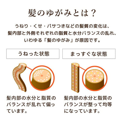 ディアボーテ オイルインシャンプー 10g*5枚 & コンディショナー 10ml*5枚 合計10枚 リッチ＆リペア お試しセット ヘアケアセット サシェサンプル トラベルサイズ プレミアムヒマワリオイル配合 良い髪へ Dear Beaute HIMAWARI