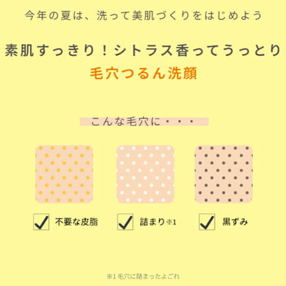 イグニス サニーサワー ソープ N 1.0g*6枚 合計6g 洗顔料 お試しセット サシェサンプル トラベルサイズ 洗顔フォーム ベタつきや汚れをしっかり落とす 保湿成分 レモン果汁配合 うるおい みずみずしい ビターフレッシュシトラスの香り IGNIS ignis