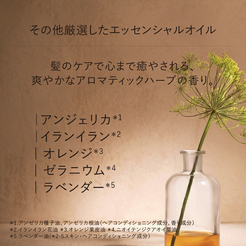 ロクシタン インテンシヴR シャンプー〈ヘアシャンプー〉6.0ml*6枚 合計36ml フランス製 お試しセット サシェサンプル トラベルサイズ ダメージ修復 植物由来の成分 フレッシュなハーブの香り 傷んだ髪をケア 枝毛・切れ毛防止 L'OCCITANE