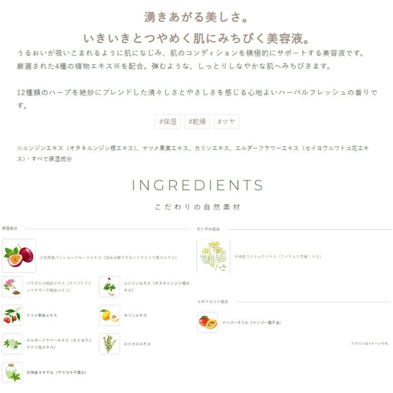ネコポス速達！イグニス モイスチュアライジング エッセンス〈美容液〉4ml 外箱なし ミニサイズ 特製サイズ サンプル 湧きあがる美しさ いきいき 生命感 うるおい 肌荒れ・乾燥防止 肌のコンディション積極的にサポート 厳選された植物エキス配合 こだわりの自然素材 IGNIS