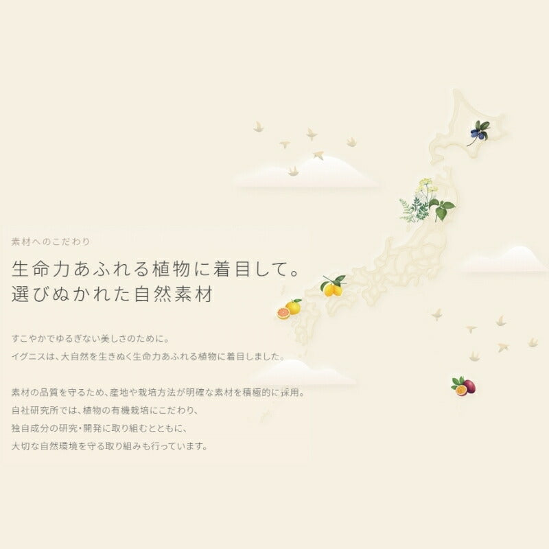 ネコポス速達！イグニス モイスチュアライジング エッセンス〈美容液〉4ml 外箱なし ミニサイズ 特製サイズ サンプル 湧きあがる美しさ いきいき 生命感 うるおい 肌荒れ・乾燥防止 肌のコンディション積極的にサポート 厳選された植物エキス配合 こだわりの自然素材 IGNIS