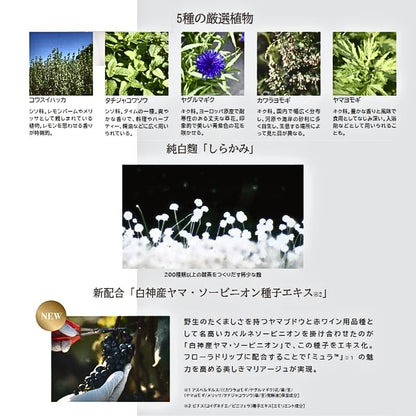 アルビオン フローラドリップ s 160 キット〈アルビオン フローラドリップ s（化粧液・現品）160ml、エクシア ブライトニング エクストラリッチミルク 50g、ブライトニング イマキュレート セラム Z（美白美容液）1.5ml×2個、フェイシャルコットン 20枚入〉ALBION albion