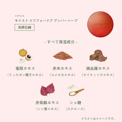 イグニス モイスト エフフォーリア アンバーソープ〈洗顔石鹸〉25g 外箱なし ミニサイズ 特製サイズ サンプル 保湿成分贅沢配合 伝統植物エキスを贅沢配合 上質な泡 心地よいハーバルフレッシュの香り IGNIS ignis ALBION albion