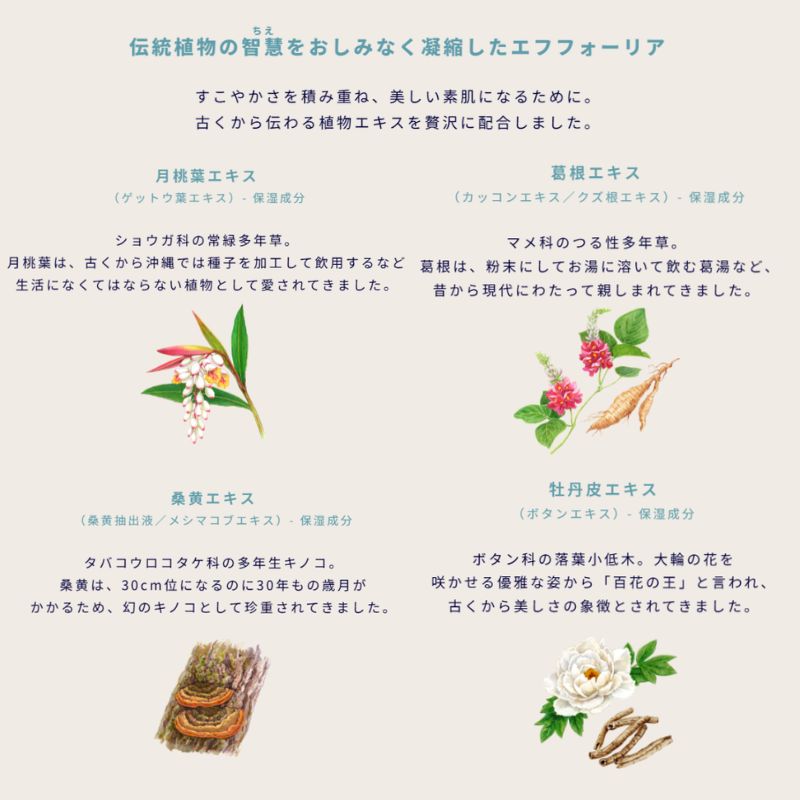 イグニス ホワイトニング エフフォーリア ミルク〈薬用美白乳液〉21g 外箱なし ミニサイズ 特製サイズ サンプル 美白有効成分 抗肌荒れ有効成分 肌をやわらげる 弾むようなハリ 肌あれを防ぐ メラニン生成抑制 シミ・ソバカス防止 伝統植物配合 IGNIS ignis