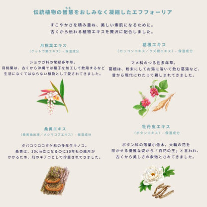 イグニス ホワイトニング エフフォーリア ミルク〈薬用美白乳液〉21g 外箱なし ミニサイズ 特製サイズ サンプル 美白有効成分 抗肌荒れ有効成分 肌をやわらげる 弾むようなハリ 肌あれを防ぐ メラニン生成抑制 シミ・ソバカス防止 伝統植物配合 IGNIS ignis