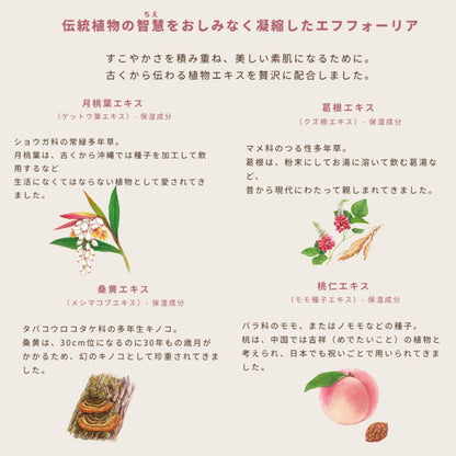 イグニス モイスチュアライジング エフフォーリア クリーム 0.4g*6枚 お試しセット サシェサンプル トラベルサイズ エイジングケア 保湿成分 ハリ 密着感 伝統植物エキス贅沢配合 積極的に肌サポート 心地よいハーバルフレッシュの香り IGNIS ignis