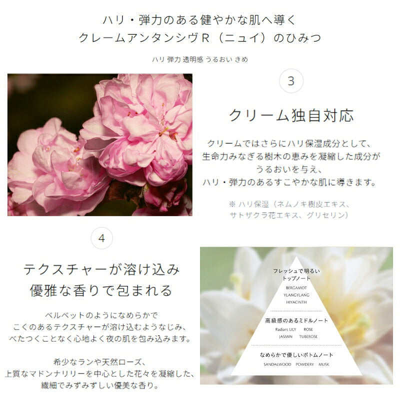 ネコポス速達！クレ・ド・ポー ボーテ キーラディアンスケア 全3点 NEW（化粧水 30ml、日中用乳液・クリーム 5g、夜用乳液・クリーム 5g）外箱付き 特製サイズ ミニサイズ お試しセット サシェサンプル トライアルセット トラベルサイズ 独自成分配合 肌サポート CPB 資生堂