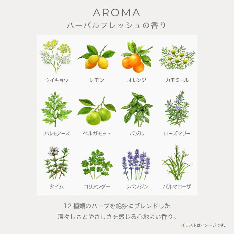 イグニス エフフォーリア オイルセラム〈オイル状美容液〉0.6ml*3枚 いち早くお試し お試しセット サシェサンプル トラベルサイズ サンプル エイジングケア 2層タイプ コクのある濃密なベース ハリ ツヤ 保湿 乾燥 和漢植物 ハーバルフレッシュ IGNIS ignis