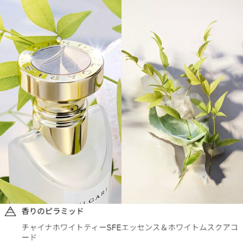 BULGARI ブルガリ オ・パフメ テ ブラン オードトワレ 1.5ml イダリア製 ミニサイズ 特製サイズ ミニボトル トラベル 香水 フレグランス グリーンティー ハーモニー ボタニカル 植物成分 チャイナホワイトティー ウッディフローラルムスク 清潔感