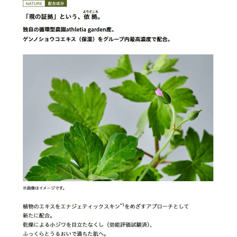 アスレティア コアバランス コンセントレイティッドローション〈化粧水〉7ml 外箱なし ミニサイズ 特製サイズ サンプル いち早くお試し 高機能保湿 乾燥小ジワ ハリ 弾力 ツヤ くすみ 肌荒れ 角質層浸透 ゲンノショウコ ローズ精油 エイジングケア ATHLETIA